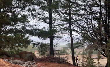 SE VENDE EXCLUSIVO TERRENO EN PUNTA DE LOBOS, PICHILEMU