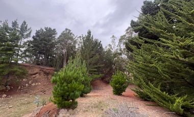 SE VENDE EXCLUSIVO TERRENO EN PUNTA DE LOBOS, PICHILEMU