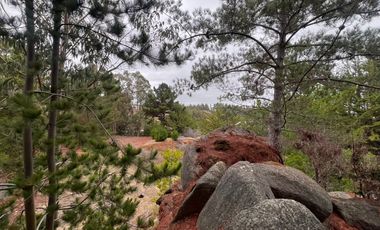 SE VENDE EXCLUSIVO TERRENO EN PUNTA DE LOBOS, PICHILEMU