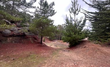 SE VENDE EXCLUSIVO TERRENO EN PUNTA DE LOBOS, PICHILEMU