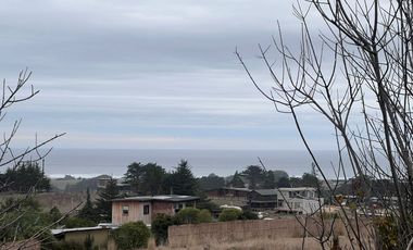 SE VENDE EXCLUSIVO TERRENO EN PUNTA DE LOBOS, PICHILEMU