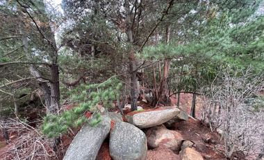 SE VENDE EXCLUSIVO TERRENO EN PUNTA DE LOBOS, PICHILEMU