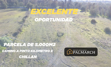 VENTA PARCELA CAMINO A PINTO KM 8, CHILLÁN