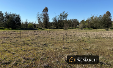 VENTA PARCELA CAMINO A PINTO KM 8, CHILLÁN