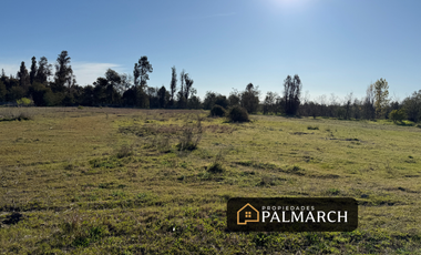 VENTA PARCELA CAMINO A PINTO KM 8, CHILLÁN