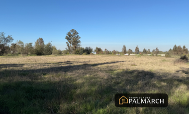 VENTA PARCELA CAMINO A PINTO KM 8, CHILLÁN