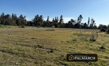 VENTA PARCELA CAMINO A PINTO KM 8, CHILLÁN