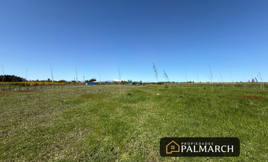 PARCELA EN VENTA CAMINO A PINTO, KM 18  REGIÓN DE ÑUBLE