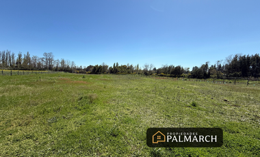 PARCELA EN VENTA CAMINO A PINTO, KM 18  REGIÓN DE ÑUBLE