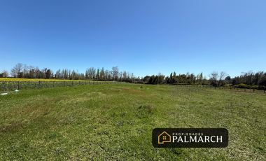 PARCELA EN VENTA CAMINO A PINTO, KM 18  REGIÓN DE ÑUBLE