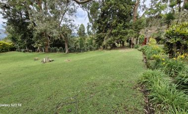 FINCA PARA ALQUILER EN LA CEJA