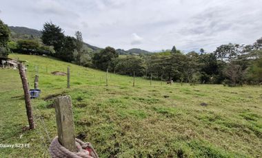FINCA PARA ALQUILER EN LA CEJA