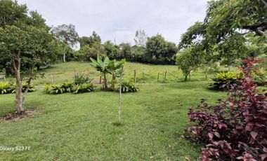 FINCA PARA ALQUILER EN LA CEJA