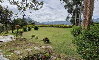 FINCA PARA ALQUILER EN LA CEJA