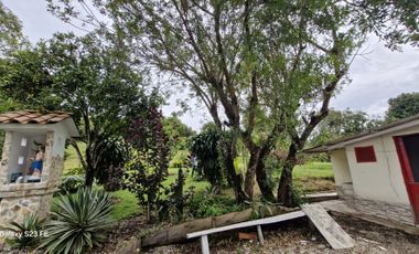 FINCA PARA ALQUILER EN LA CEJA