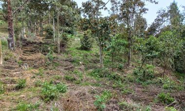 Lote en venta en el retiro - rural