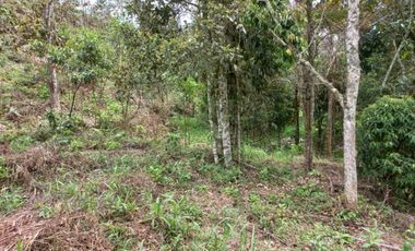 Lote en venta en el retiro - rural
