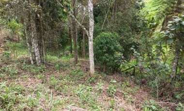 Lote en venta en el retiro - rural
