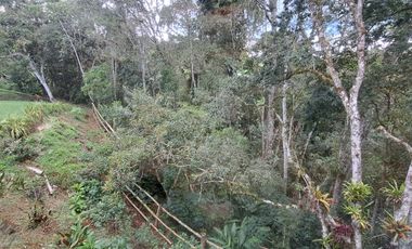Finca independiente para alquiler en rionegro - rural