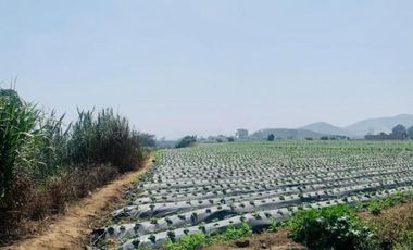 Terreno a la Venta en Huaral