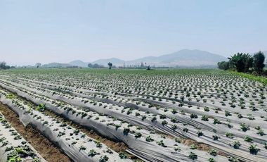 Terreno a la Venta en Huaral