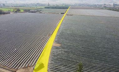 Terreno a la Venta en Huaral