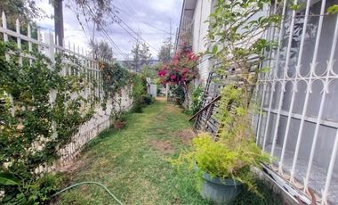 Local Comercial en Arriendo en La Florida / Walker Martinez