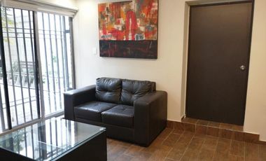 LOFT AMUEBLADO COLORADO, SAN PEDRO