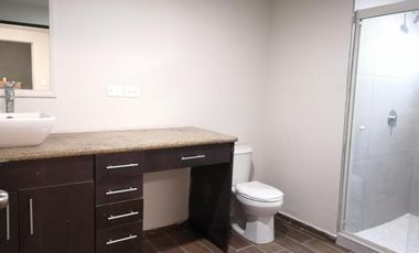 LOFT AMUEBLADO COLORADO, SAN PEDRO