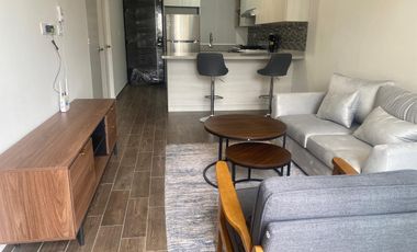 Departamentos en Renta en Santa Fe Living