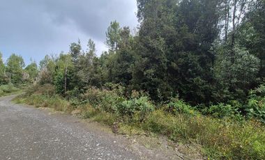 PARCELA EN LOTEO-LAGO TARAHUIN