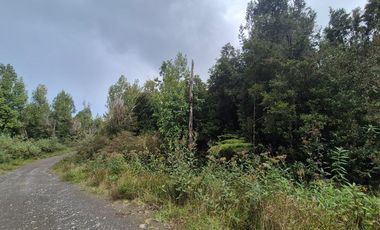 PARCELA EN LOTEO-LAGO TARAHUIN