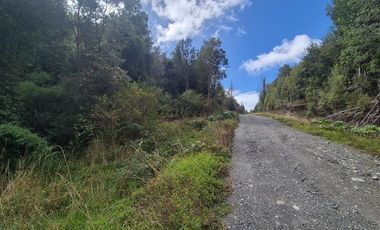 PARCELA EN LOTEO-LAGO TARAHUIN