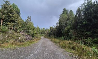 PARCELA EN LOTEO-LAGO TARAHUIN