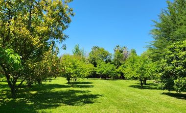 VENDE 2 CASAS 3D+2B+1ESCRITORIO+LAVADERO+BOD+DORM+BAÑO