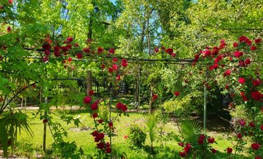 VENDE 2 CASAS 3D+2B+1ESCRITORIO+LAVADERO+BOD+DORM+BAÑO