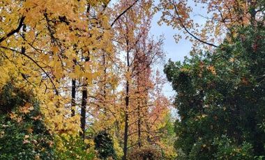 VENDE 2 CASAS 3D+2B+1ESCRITORIO+LAVADERO+BOD+DORM+BAÑO