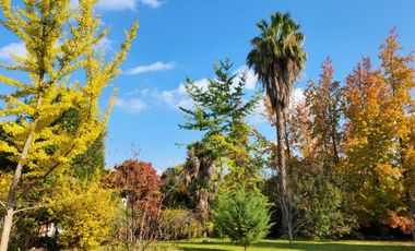 VENDE 2 CASAS 3D+2B+1ESCRITORIO+LAVADERO+BOD+DORM+BAÑO