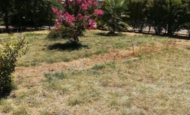 CODEHUA - PIDIHUINCO