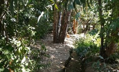 CODEHUA - PIDIHUINCO