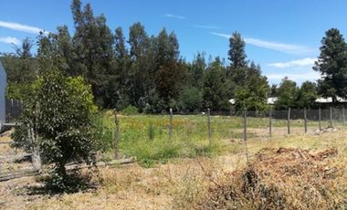 CODEHUA - PIDIHUINCO