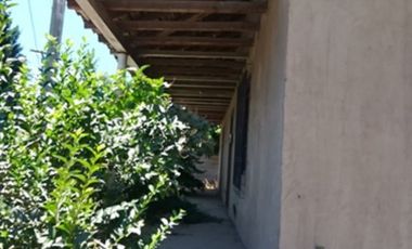 CODEHUA - PIDIHUINCO