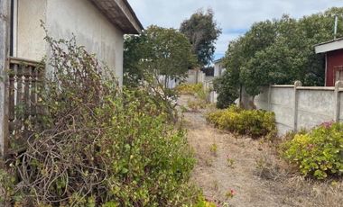 CALLE LOS CIPRECES, PLAYAS BLANCAS