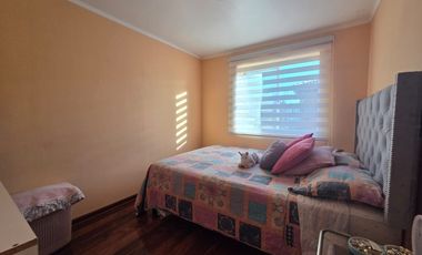 VILLA BOSQUES DE SAN FRANCISCO