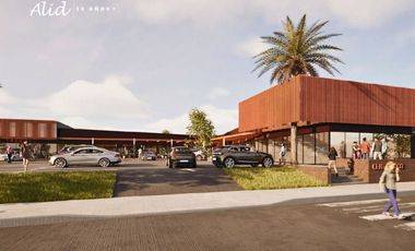 GRAN INVERSIÓN EN NODO COMERCIAL DE ALTO NIVEL PLACILLA