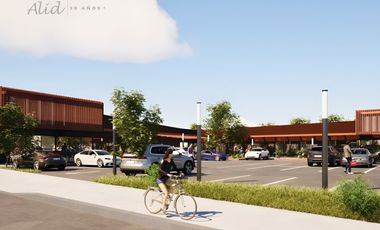 GRAN INVERSIÓN EN NODO COMERCIAL DE ALTO NIVEL PLACILLA