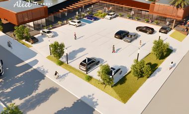GRAN INVERSIÓN EN NODO COMERCIAL DE ALTO NIVEL PLACILLA