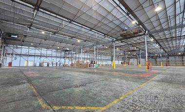 Nave Industrial en CIR 2 Alquiler T3 Gas