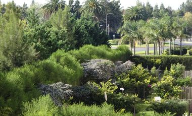 Departamento - Jardines del Palmar