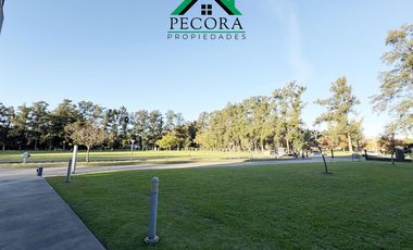 Deposito - Parque Empresarial Austral - Pilar